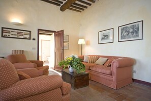 Televisión, chimenea, reproductor de DVD y estéreo 