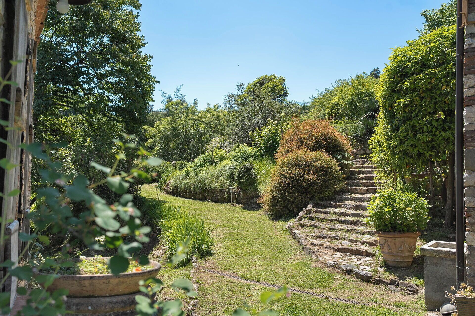 Een tuinpad met stenen traptreden, omgeven door diverse struiken en bomen.