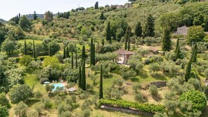 Una villa circondata da ulivi e una piscina.
