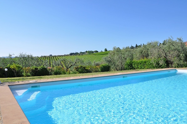 Une piscine à l’eau d’un bleu cristallin, entourée d’une végétation luxuriante et avec un vignoble en arrière-plan.