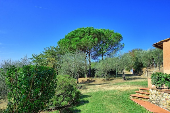 Áreas de la propiedad