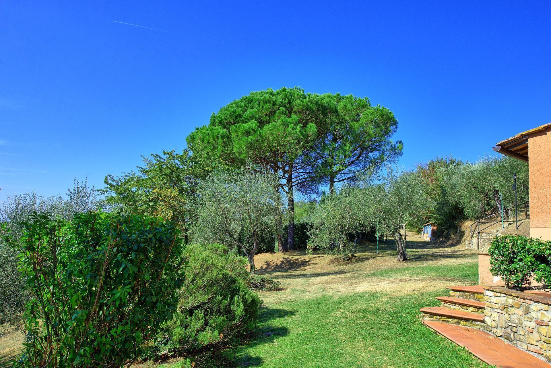 Parco della struttura