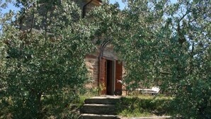 Piscina com escadaria de pedra que leva a uma porta de madeira, rodeada por oliveiras.