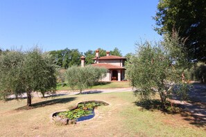 Property grounds - Beautiful private villa for 8 people with A/C, private pool, WIFI and TV, close to Montepulciano (Sinalunga)