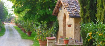 Nice apartment in villa with pool, WIFI, TV, patio and panoramic view, close to San Gimignano