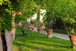 Il viale che conduce agli appartamenti e alla piscina