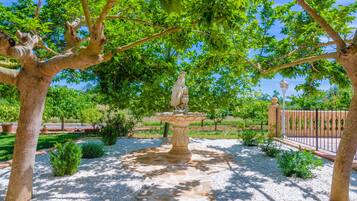 DĂ©tail de lâextĂ©rieur