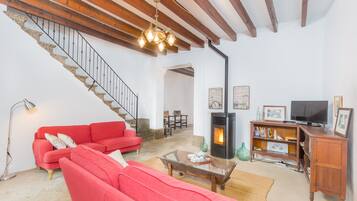 Una televisión, una chimenea, libros