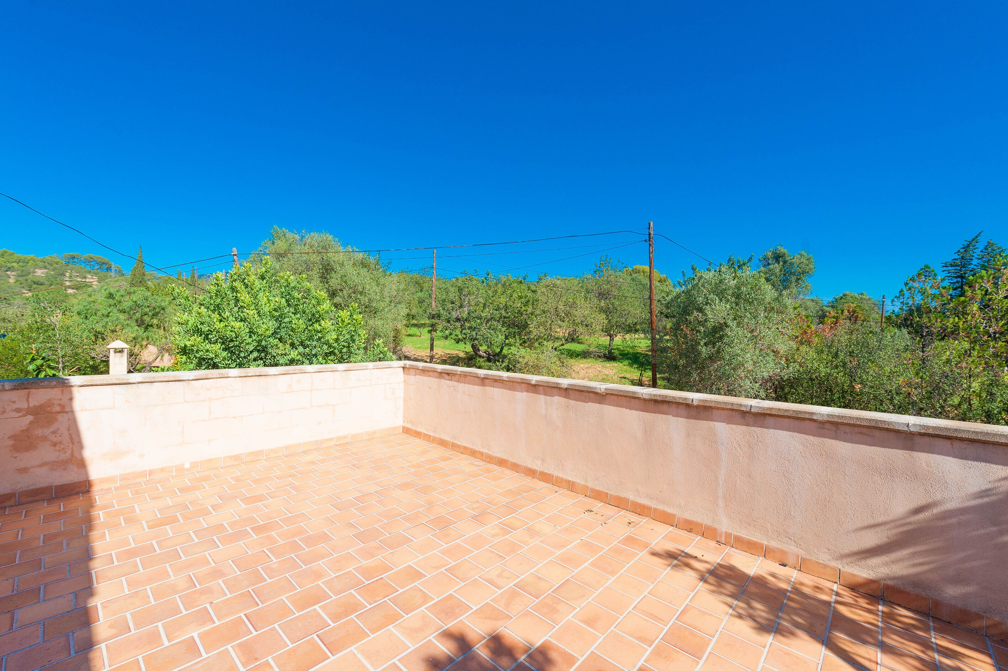 A rooftop terrace with a brick floor and a low wall, surrounded by greenery and trees.