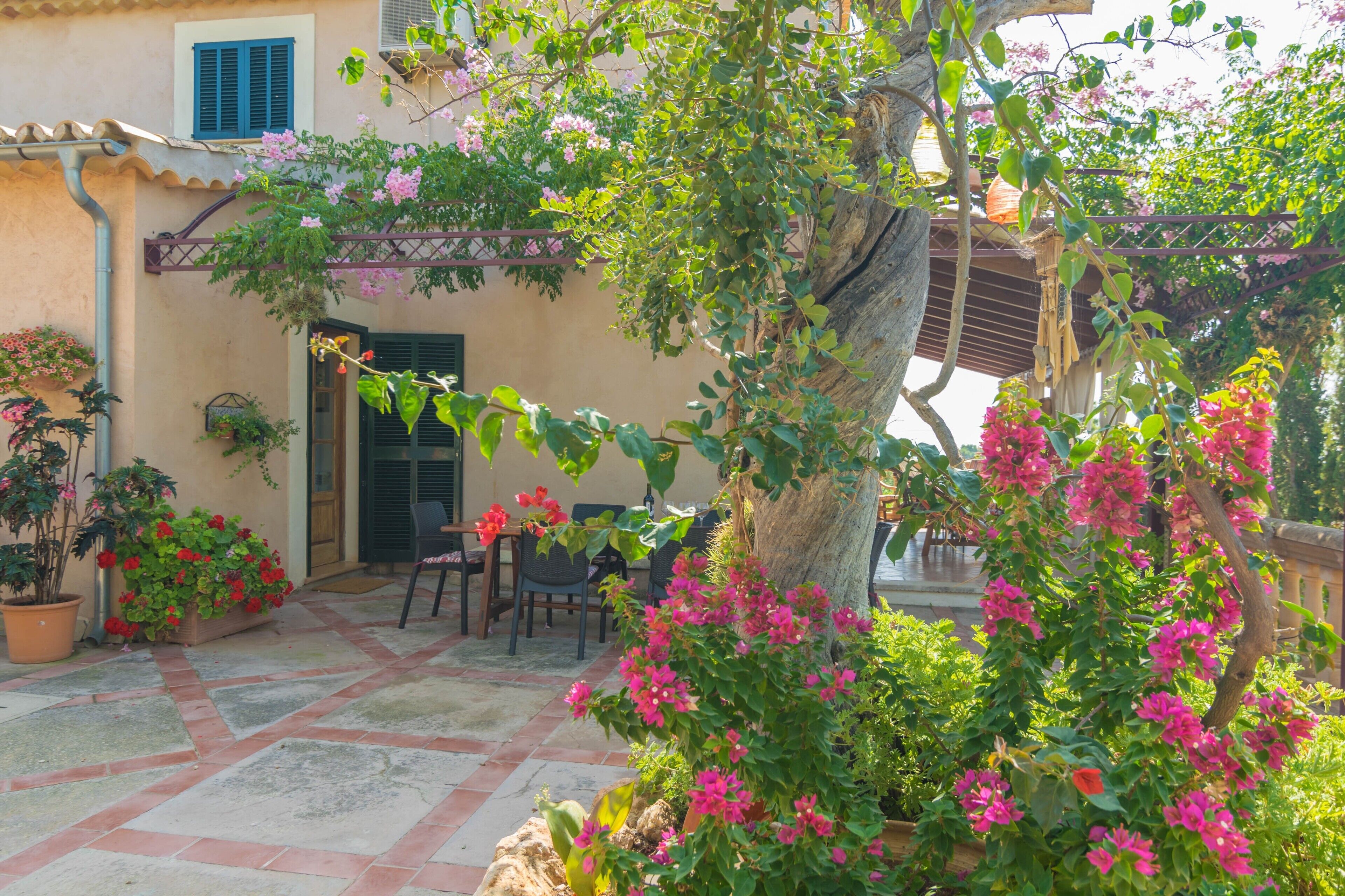 Un cortile con una pergola, piante in vaso e un'area salotto.