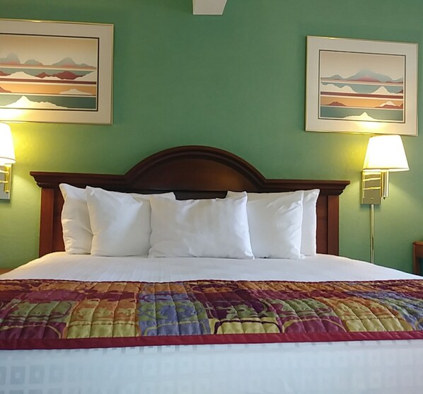 Habitación individual básica, 1 cama King size | Escritorio, tabla de planchar con plancha, cunas y wifi gratis 