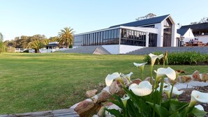 A modern building with a glass facade, a grassy lawn, and a stone pathway.