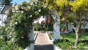 A garden pathway leading to a building entrance, surrounded by lush greenery and flowering plants.
