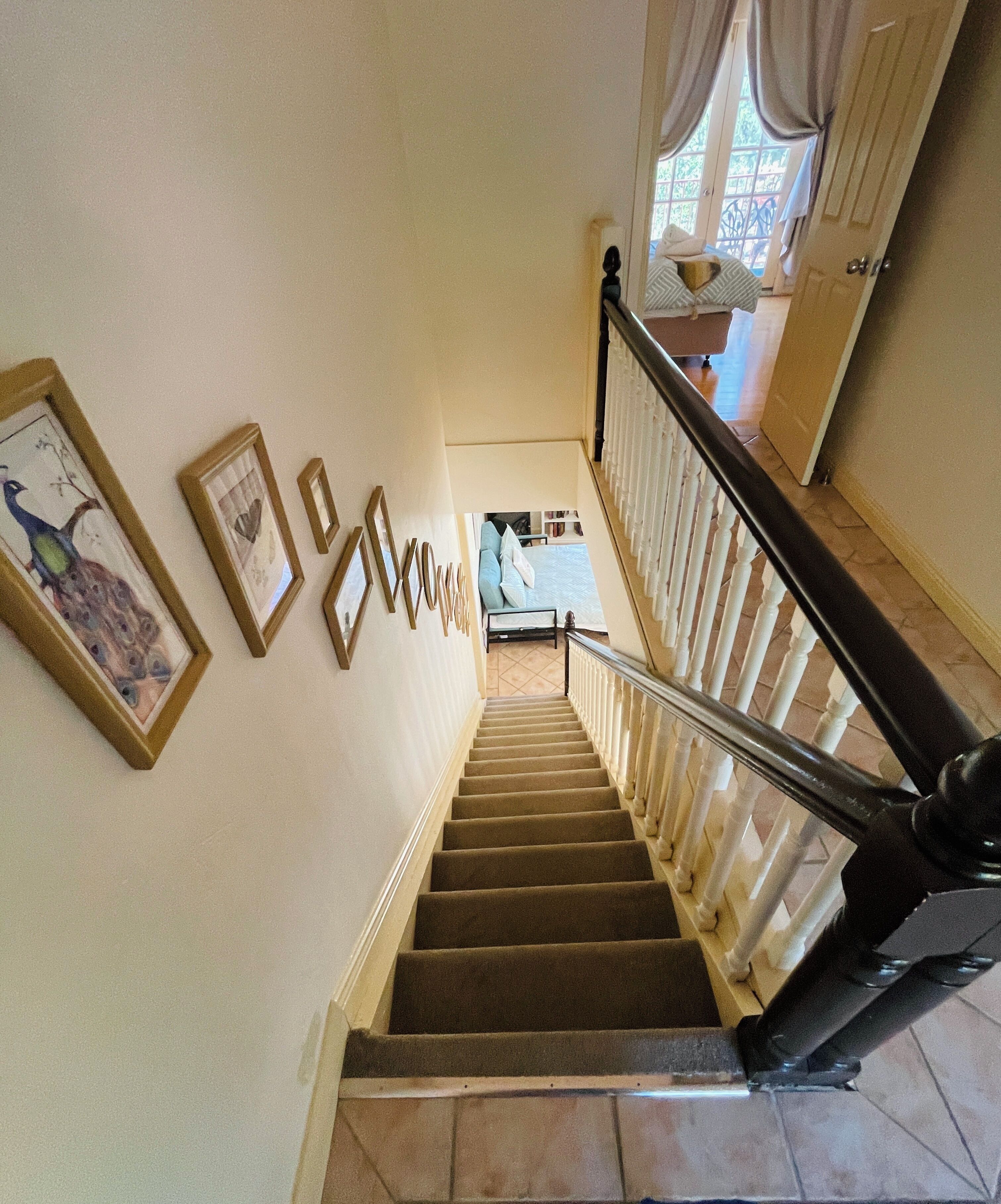 A staircase with a handrail, carpeted steps, and a wall with framed pictures.