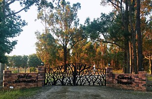 Entrada al alojamiento