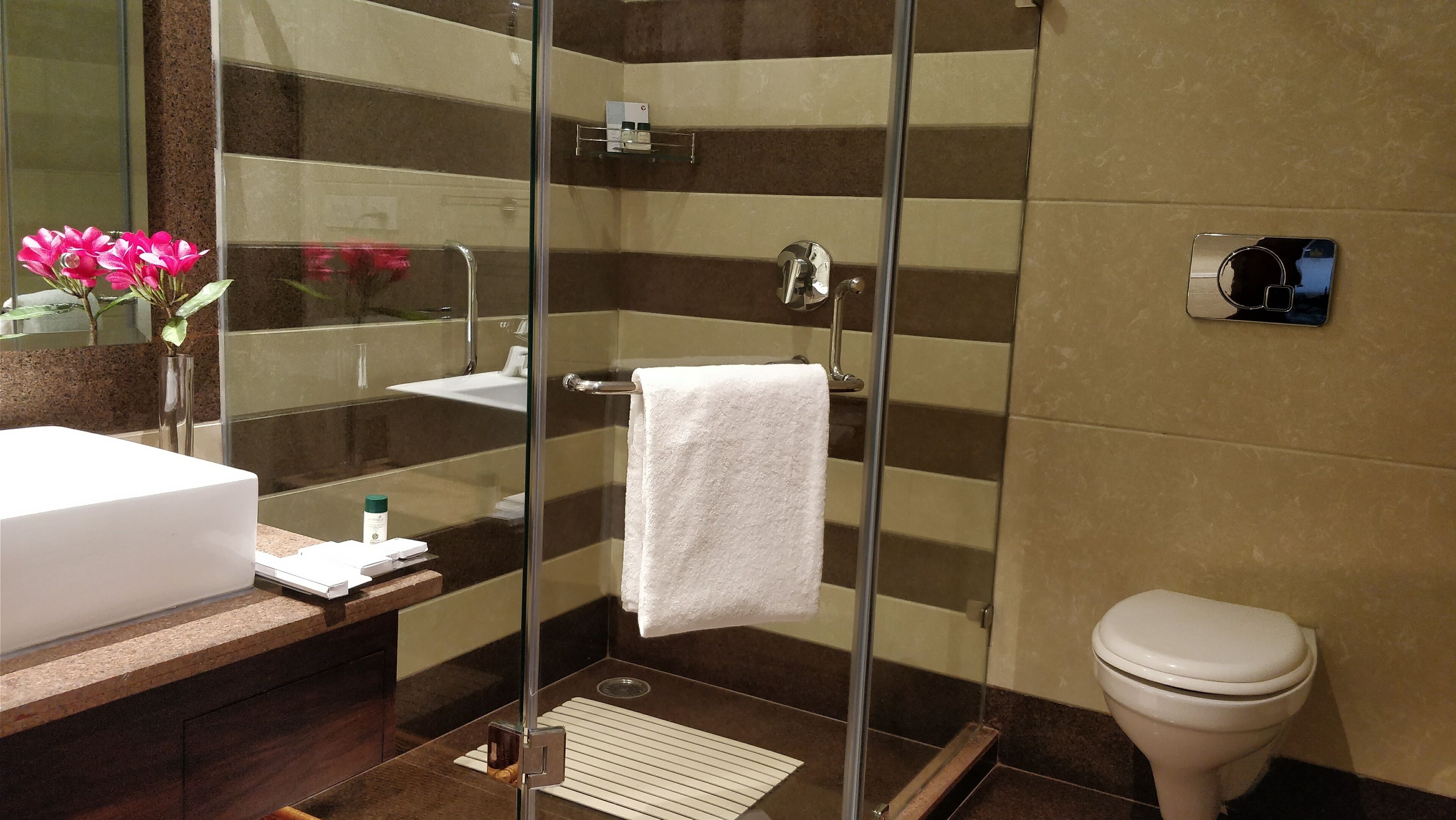 shower, free toiletries, hair dryer, towels