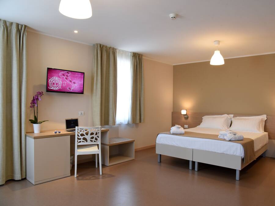 A hotel room with a bed, desk, chair, TV, and a small potted plant.