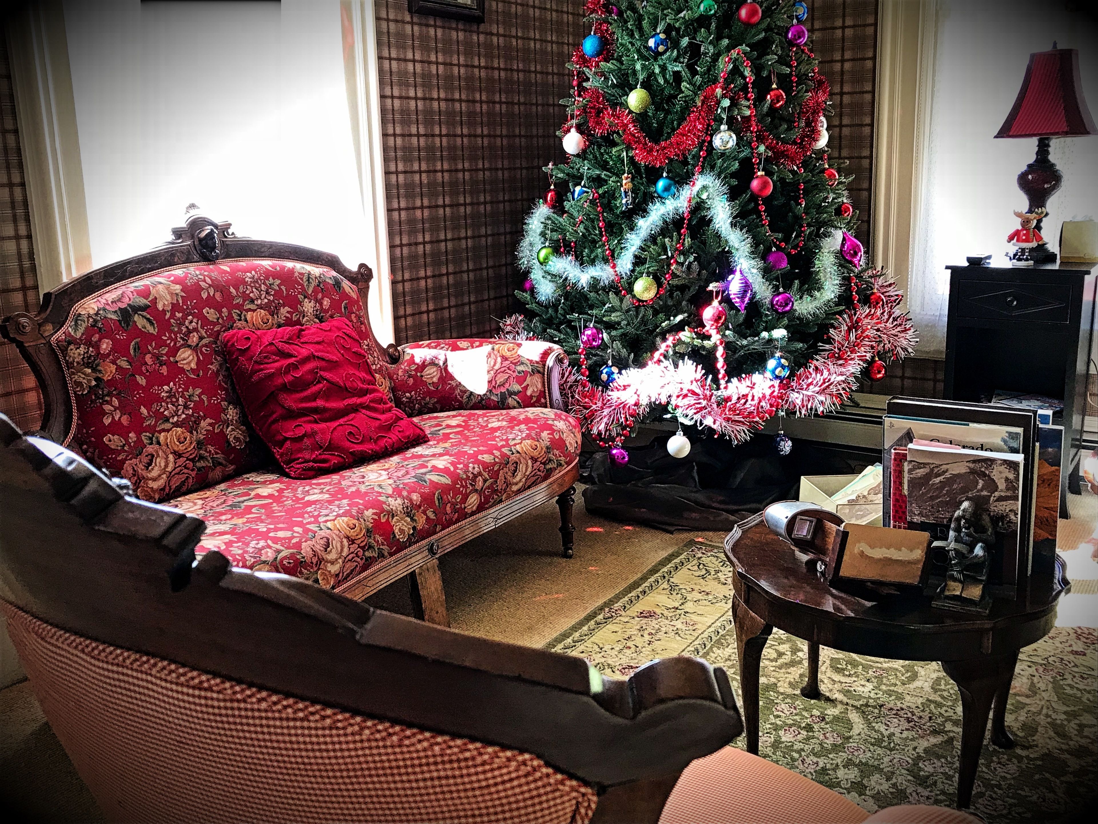 A living room with a floral sofa, a Christmas tree, and a small table with books and a lamp.