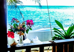 Vistas desde la habitación