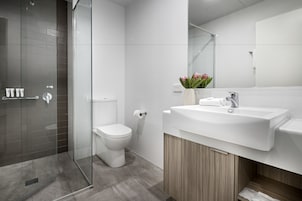 Shower, free toiletries, hair dryer, towels
