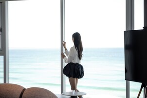 Cortinas blackout y wifi gratis