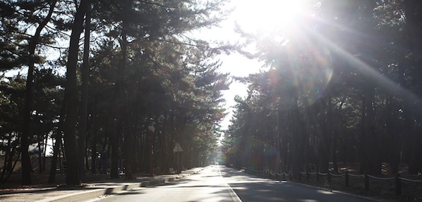 Vista dalla struttura