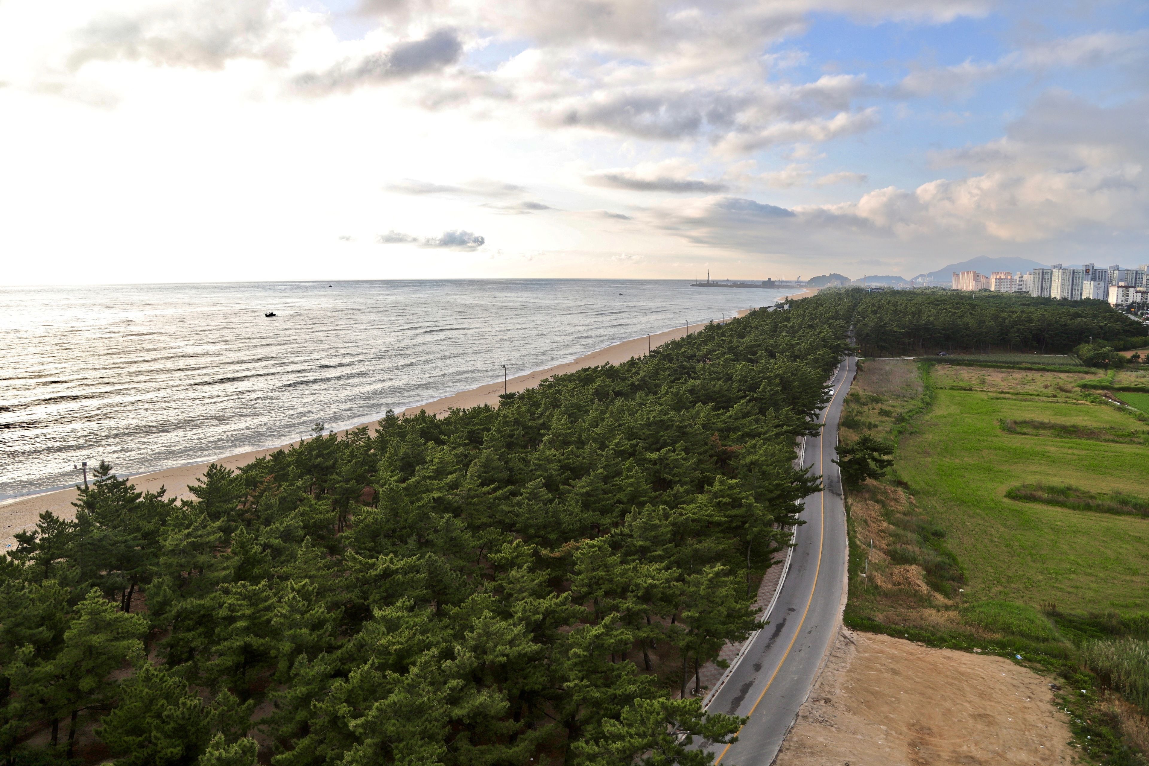 land view from property