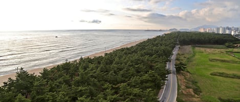 Land view from property