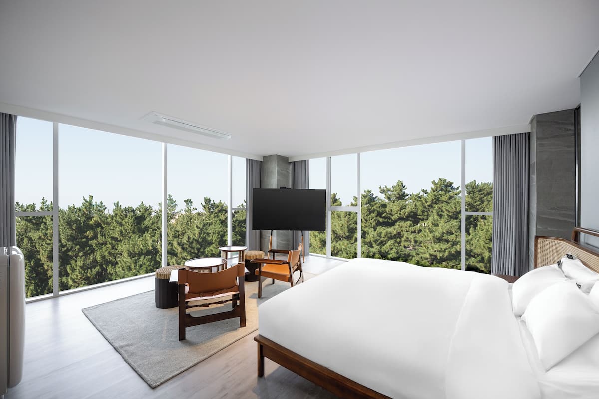 Suite panoramica, vista giardino | Tende oscuranti, Wi-Fi gratuito