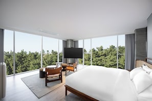 Suite panoramica, vista giardino | Tende oscuranti, Wi-Fi gratuito