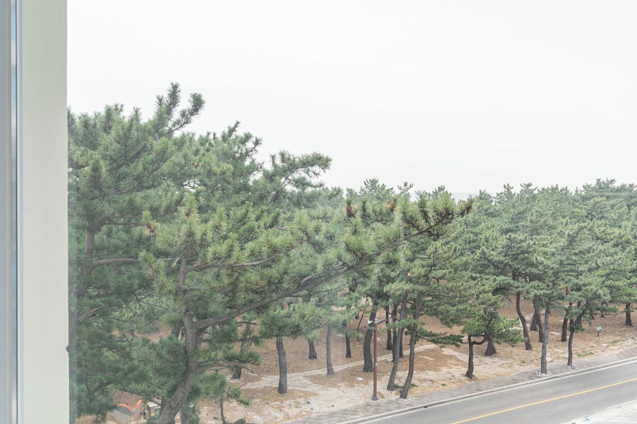 premier relax twin | 1 bedroom, blackout curtains, free wifi