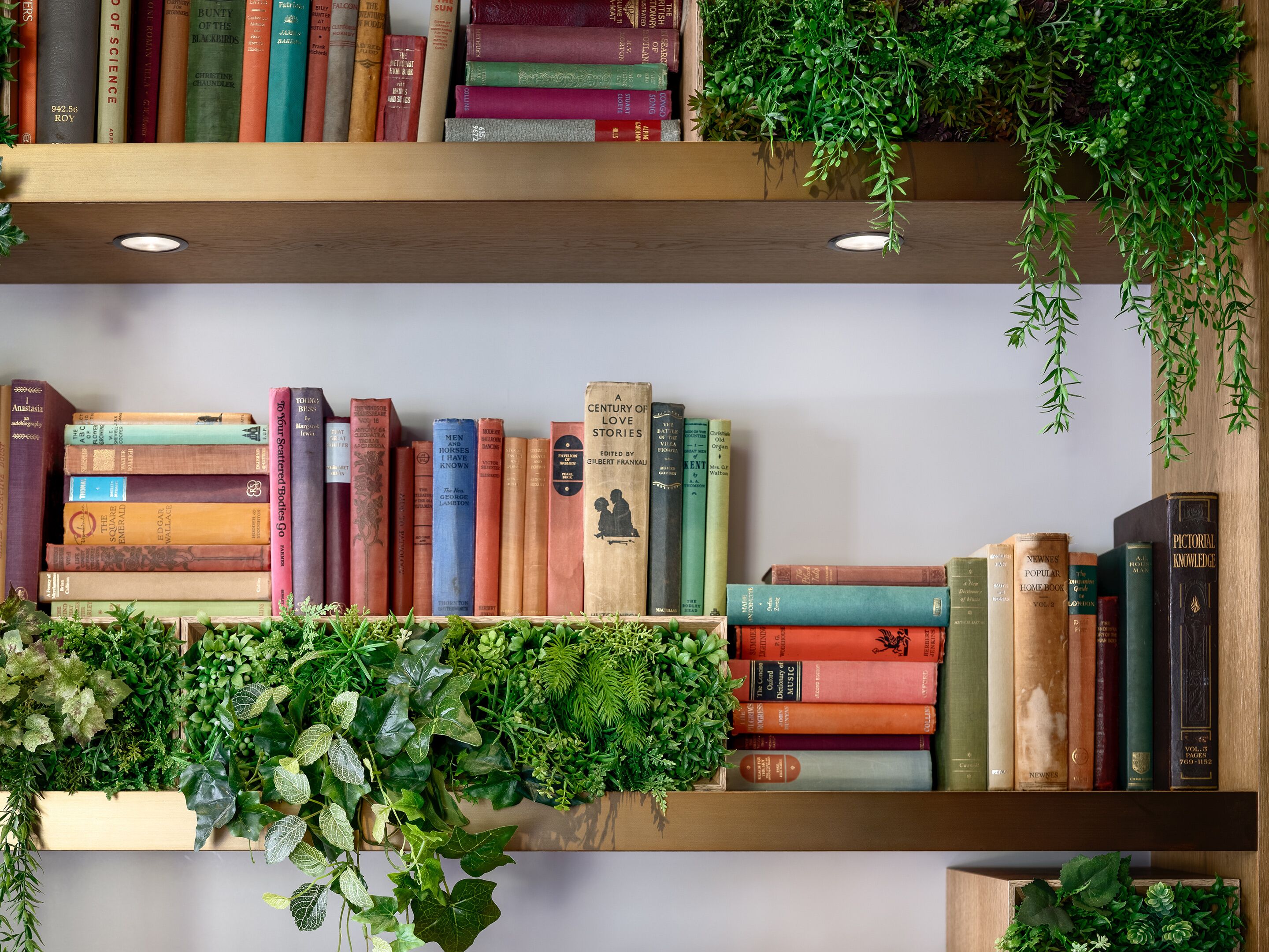 Photo - Mitsui Garden Hotel Otemachi - Tokyo