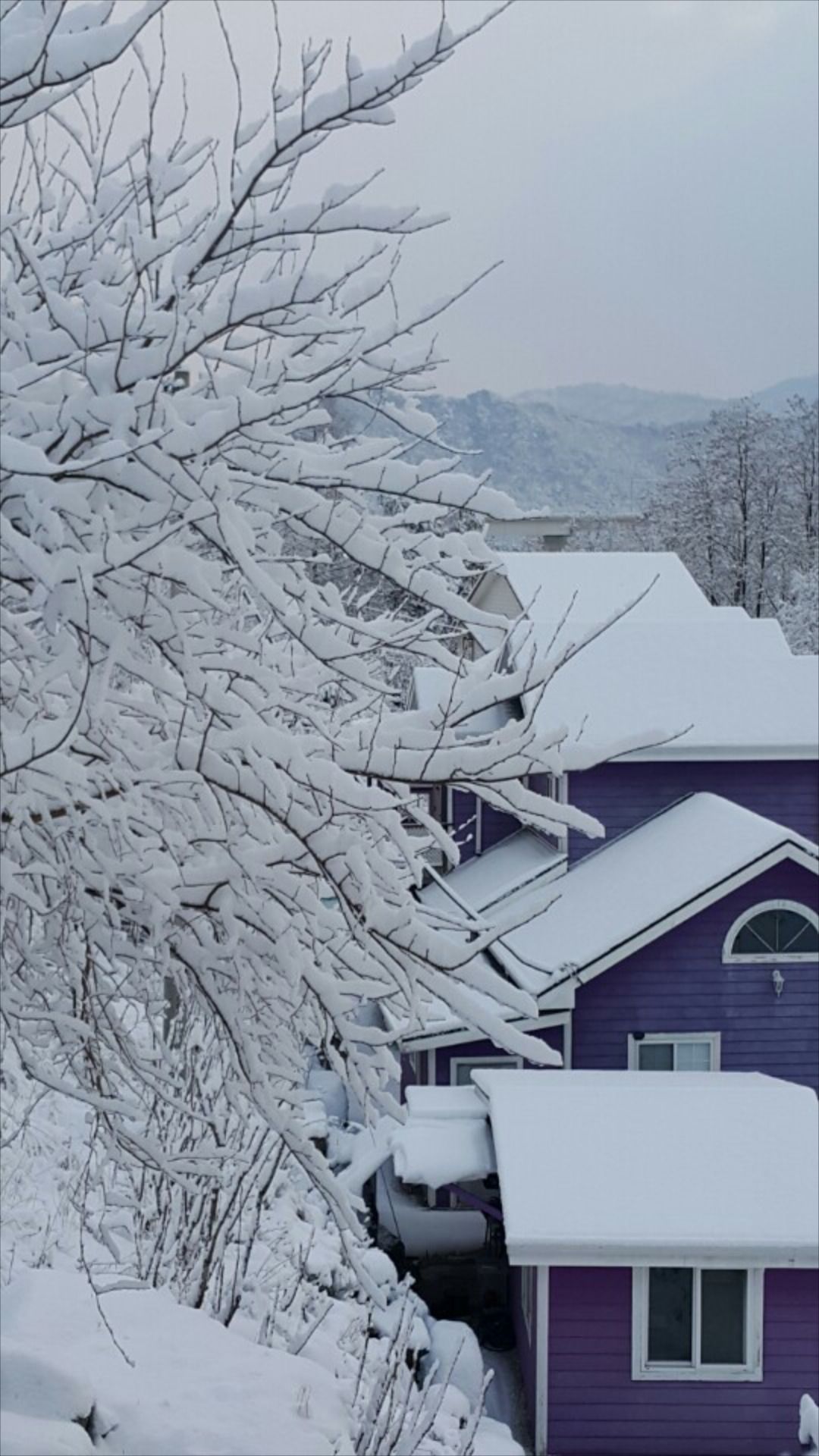 A snow-covered residential area with houses and trees.