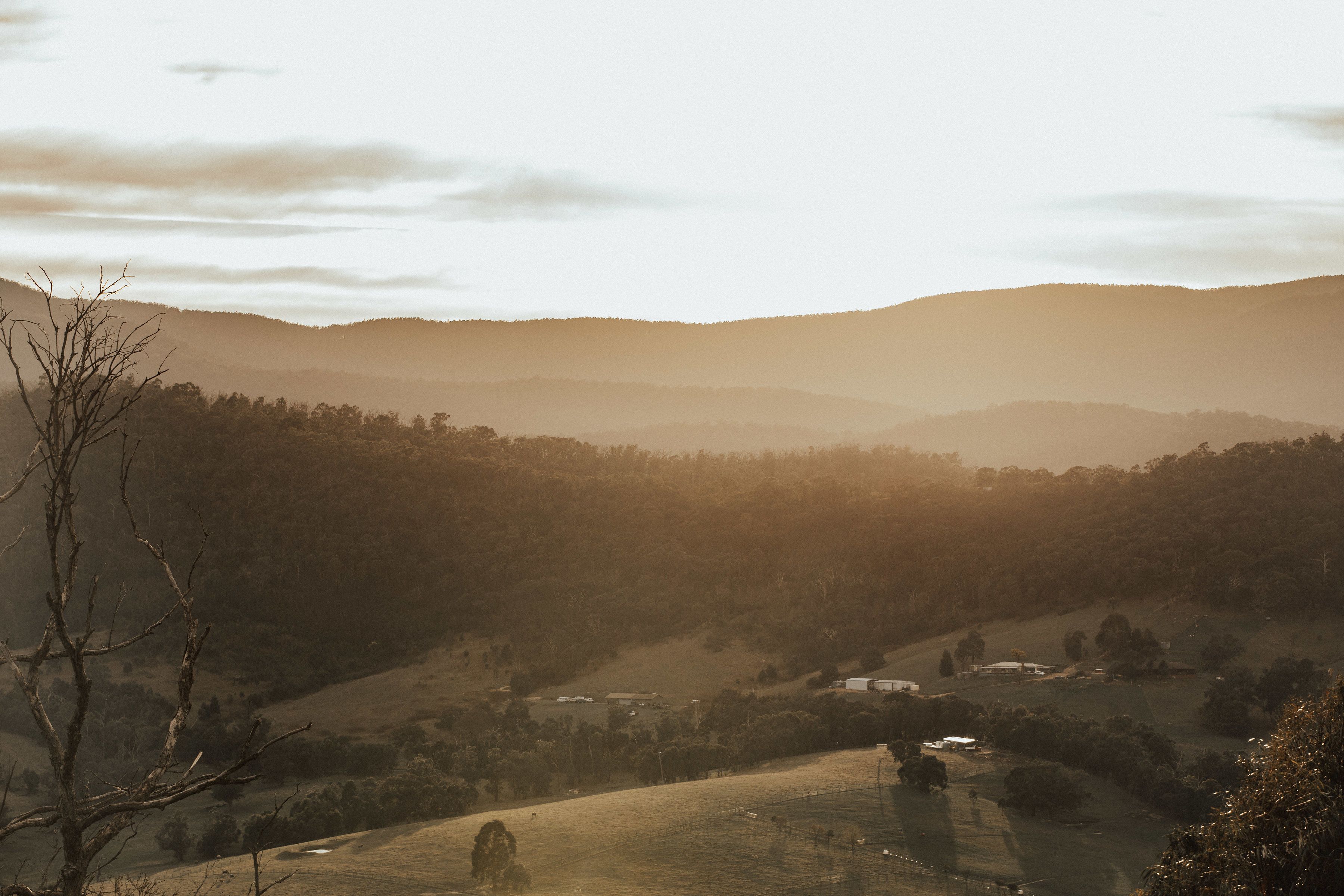 A rural landscape with rolling hills, a few scattered buildings, and a leafless tree in the foreground.
