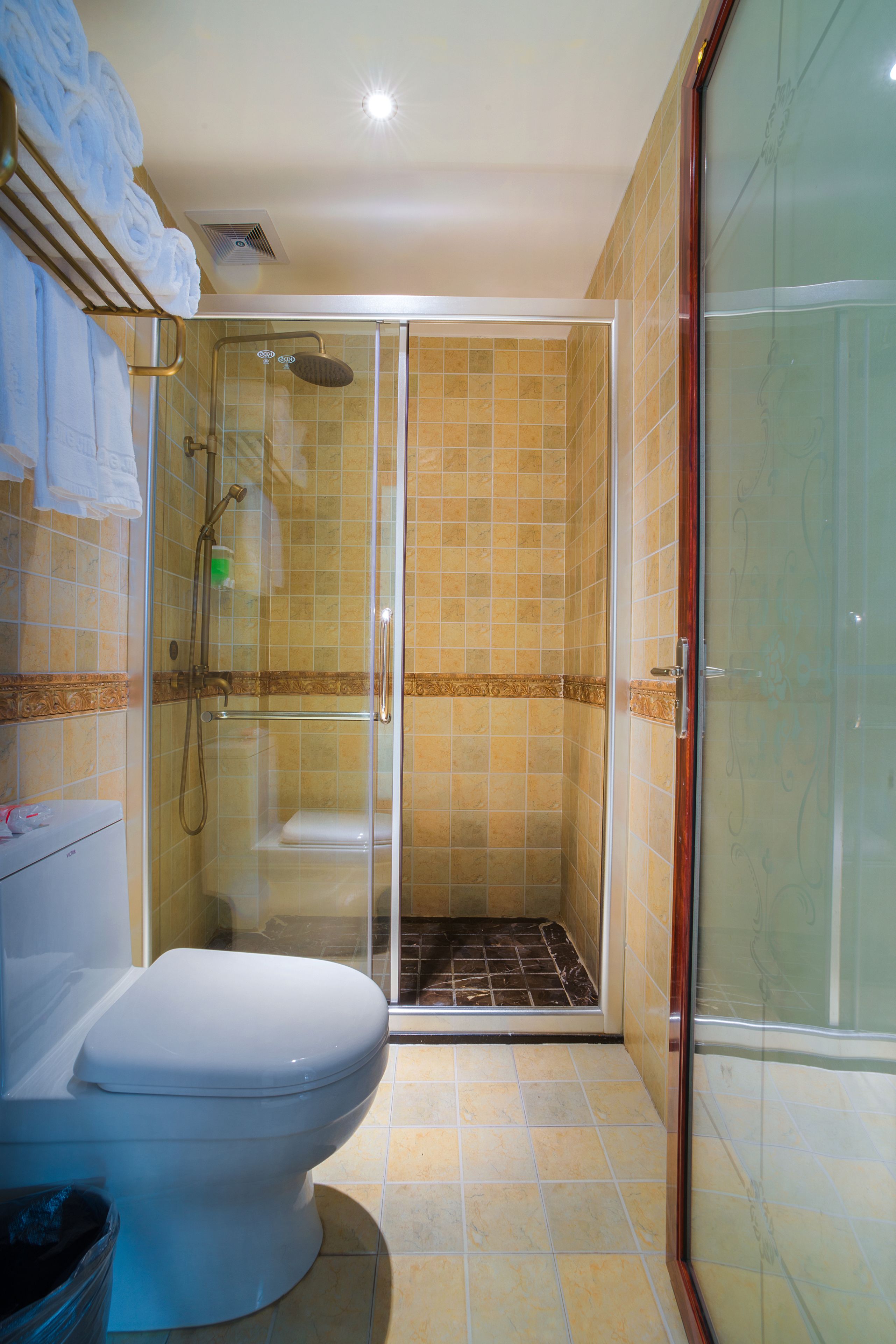 A bathroom with a toilet, a shower enclosure, and a glass door.