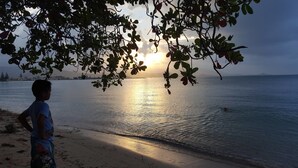 A beach scene with a person standing under a tree, overlooking the sea during sunset. - TSE Residence by Samui Emerald Condominiums (Koh Samui)