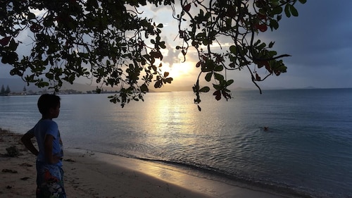 TSE レジデンス バイ サムイ エメラルド コンドミニアムズ