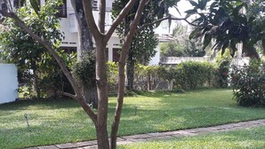 Garden - Gudsmith Home (Negombo)