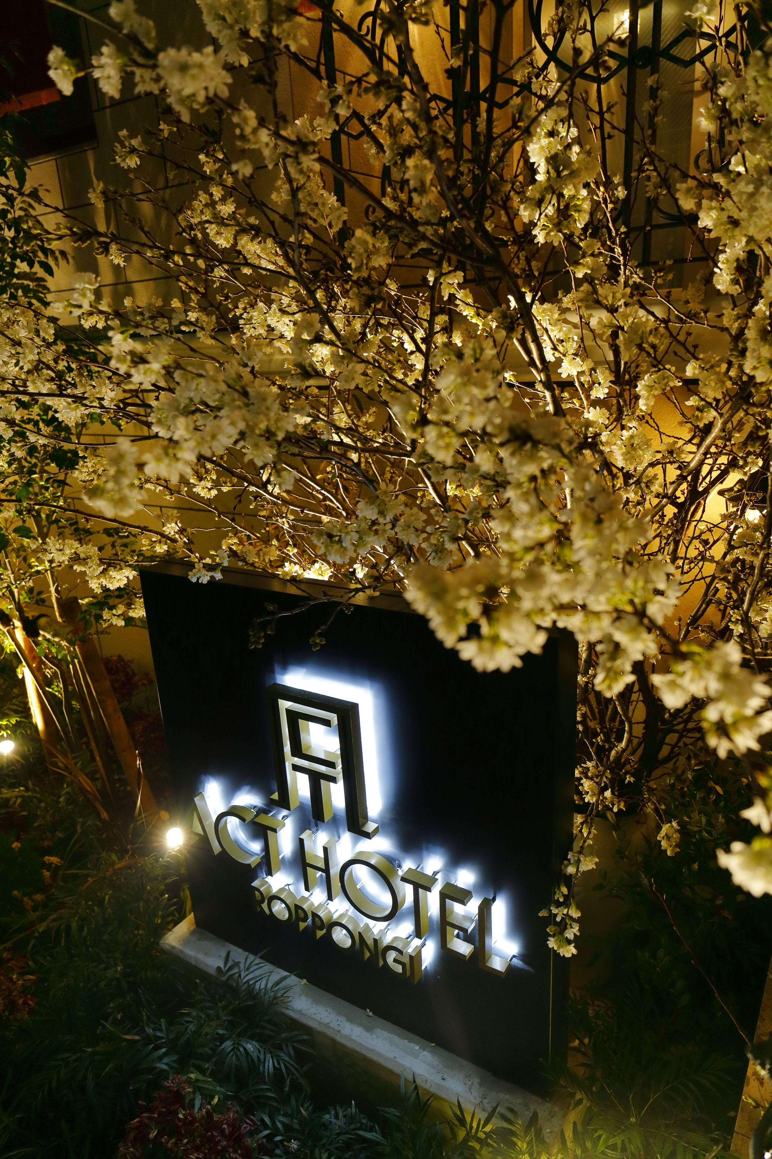 숙박 시설 정면 - 저녁/밤