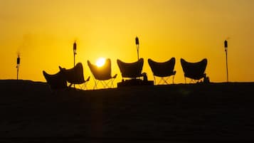 A row of beach chairs aligned on a sandy beach with a sunset in the background.