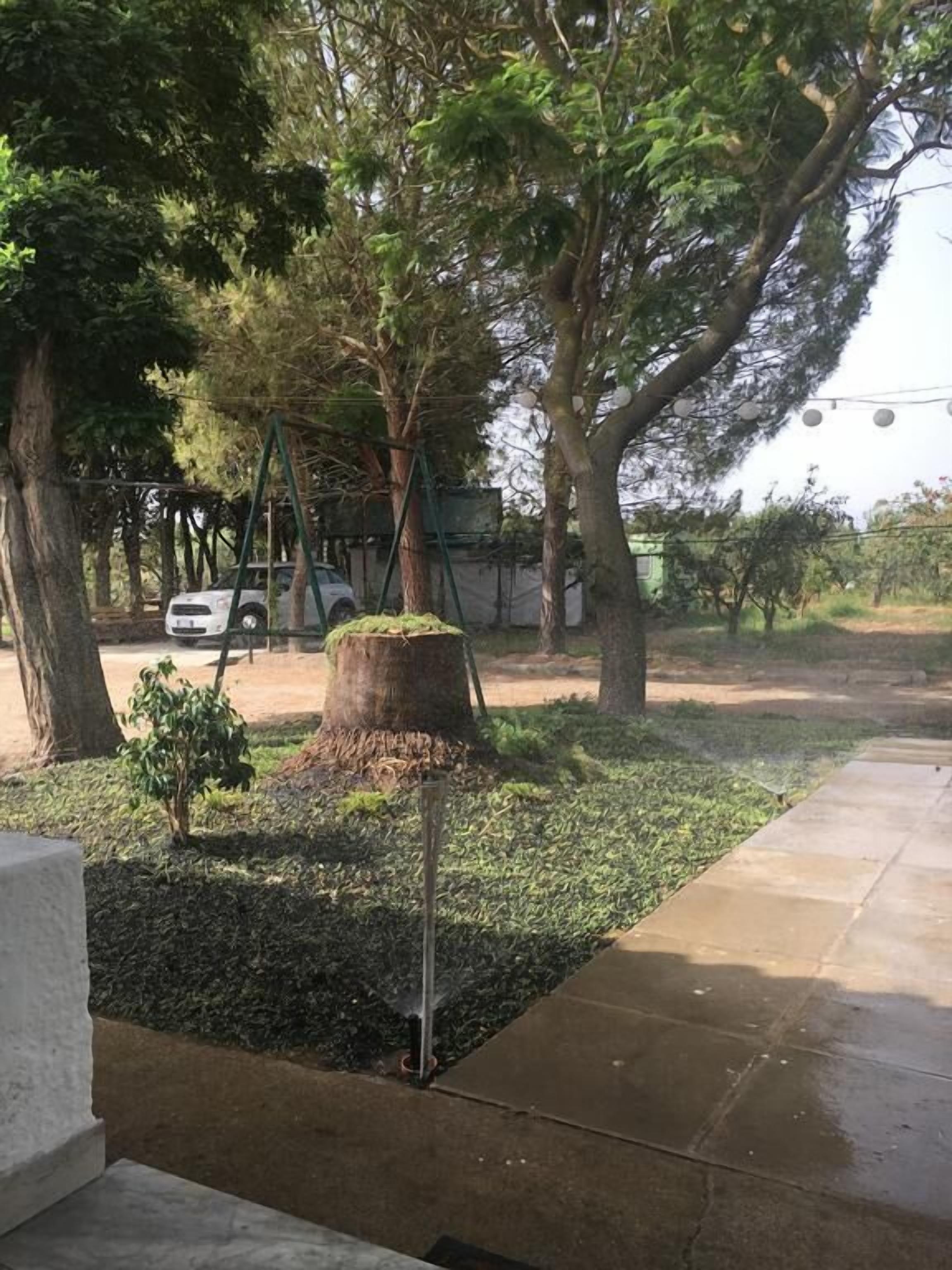 Un sendero pavimentado que lleva a una zona verde con árboles y un columpio.