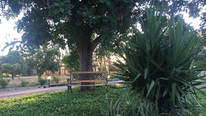 A park with a bench, a large tree, and various plants. - BeB il Pomo D'Oro (Assemini)