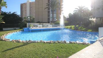 Una piscina rodeada por un borde de piedra, con una palmera y un edificio alto al fondo.
