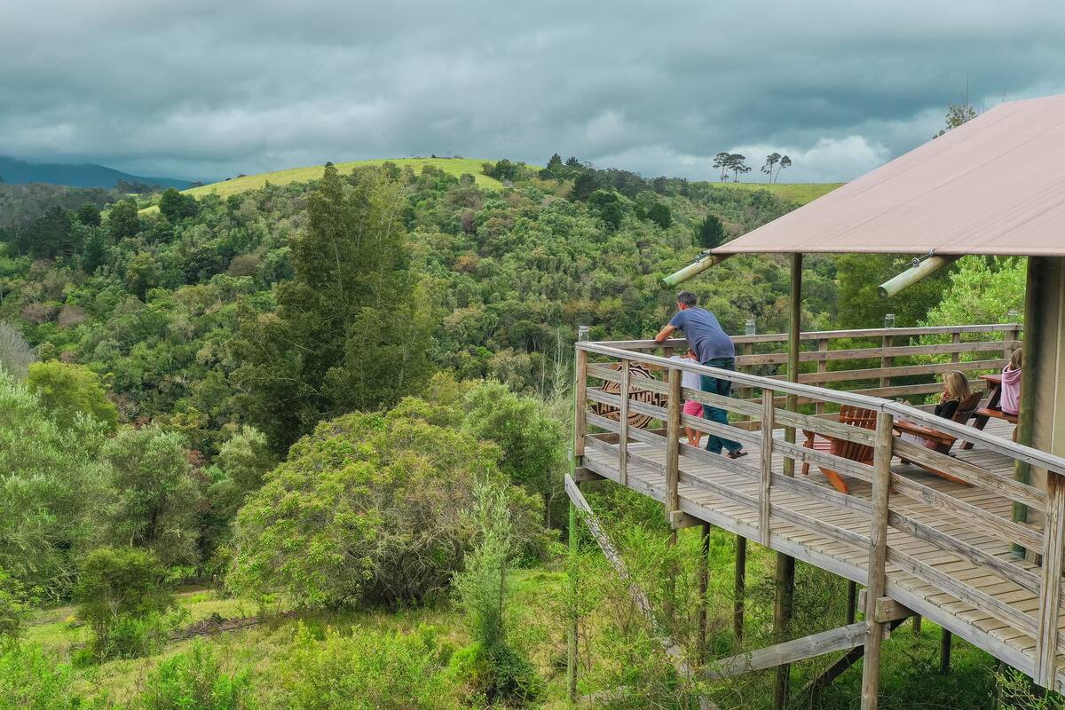 A wooden observation deck with a view of a lush green valley and distant mountains under a cloudy sky.