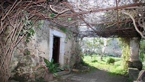 A rustic stone building with a wooden door, surrounded by greenery and vines. - Villa Nicetta (San Fratello)
