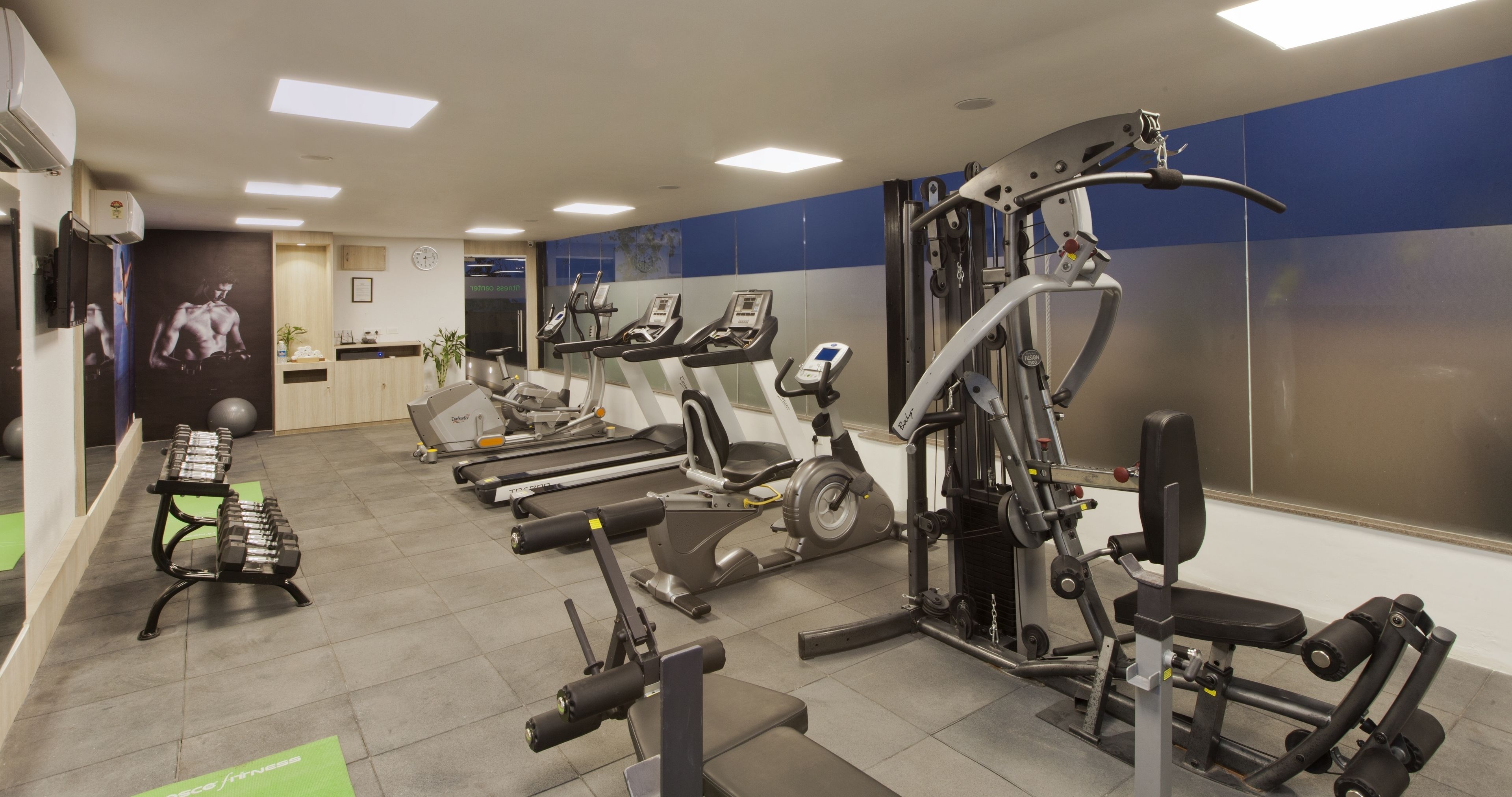 A gym with treadmills, weight machines, and dumbbells.