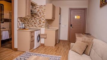 A compact living space with a kitchenette, a washing machine, a sofa, and a patterned rug.