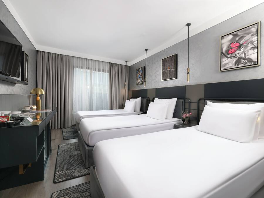 Een hotelkamer met twee bedden, een bureau, een flatscreen-tv, een koffiezetapparaat en kunstwerken aan de wanden.