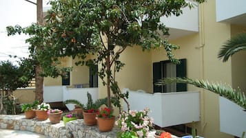 Studio | Teras/patio
