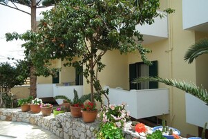 Estudio | Terraza o patio